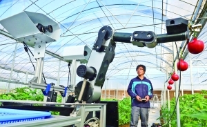 盤點農(nóng)用智能機器人:機器人鋤草效率增60倍-科教臺-中國網(wǎng)絡(luò)電視臺