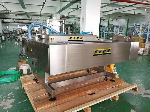 真空食品包裝機 全自動連續(xù)式食品真空包裝機 星火機械設備