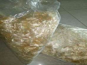 聚酯網狀纖維供應與市場解析 供應商、價格及批發渠道全指南